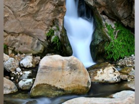 صور من ابداع اعضاء عمان فوتو