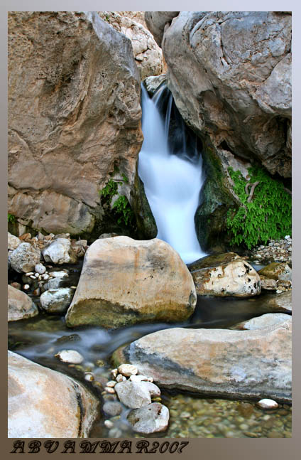 صور من ابداع اعضاء عمان فوتو