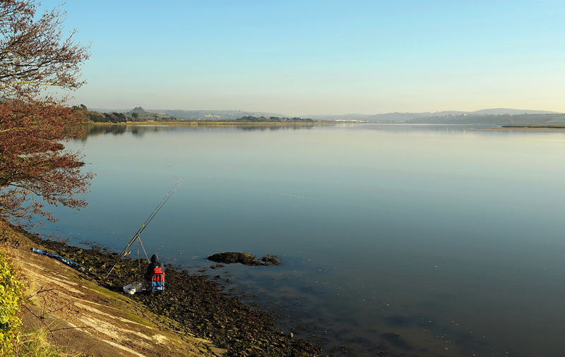 صور منوعة من الإنترنت