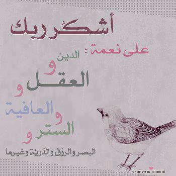 429187_10151419633723647_2068896451_n