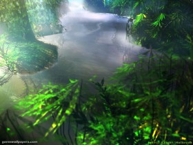 nature-006_1_