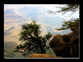 صور من ابداع اعضاء عمان فوتو