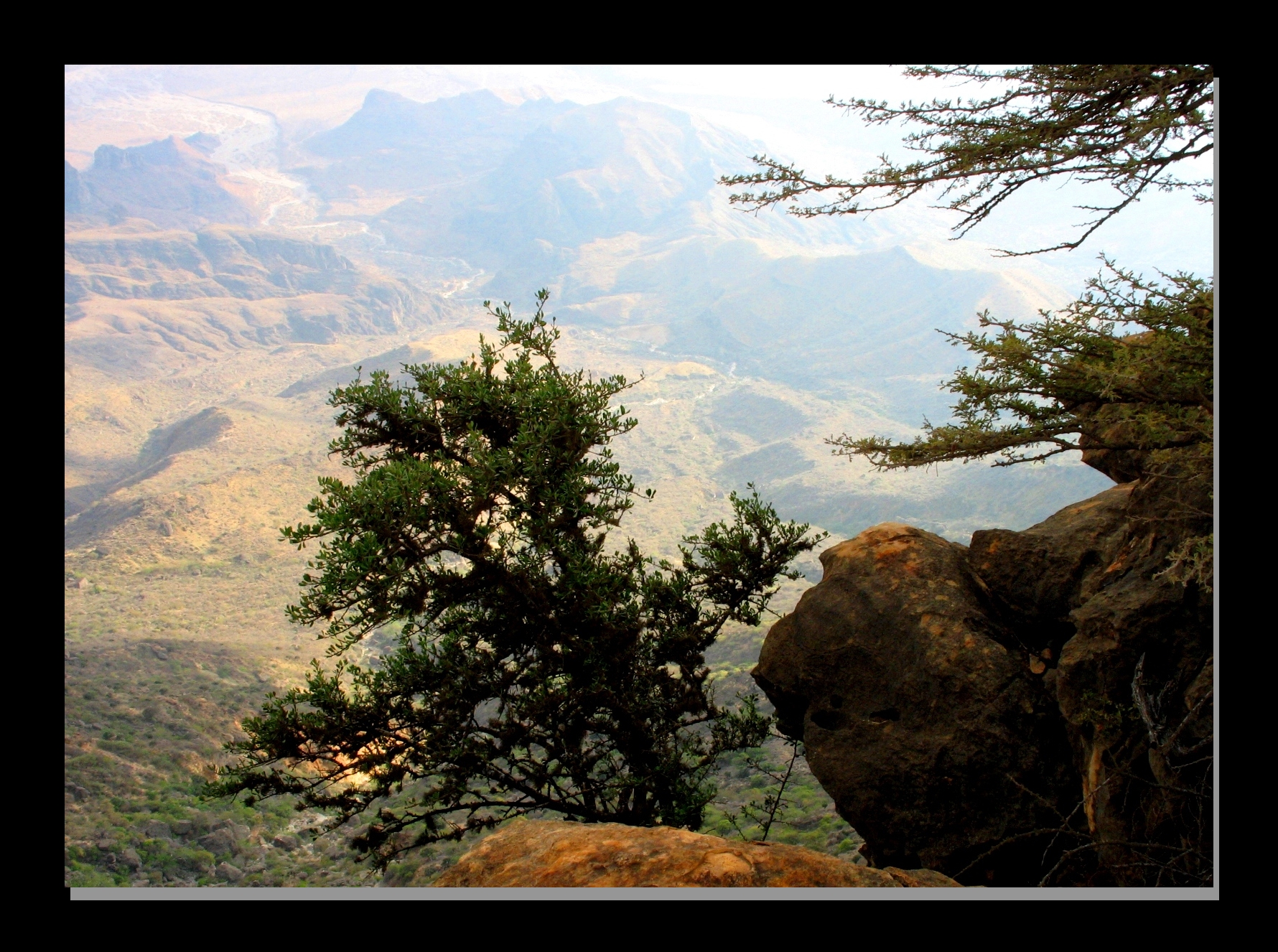 صور من ابداع اعضاء عمان فوتو