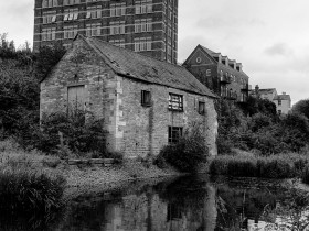 صور منوعة من الإنترنت