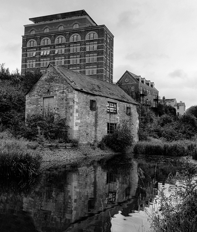 صور منوعة من الإنترنت