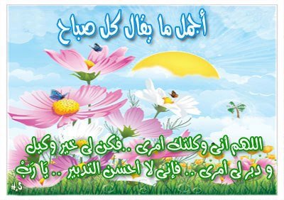 226399_10150274261099997_870290392_n