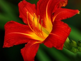 1568163-df21ef686faa96de_1_