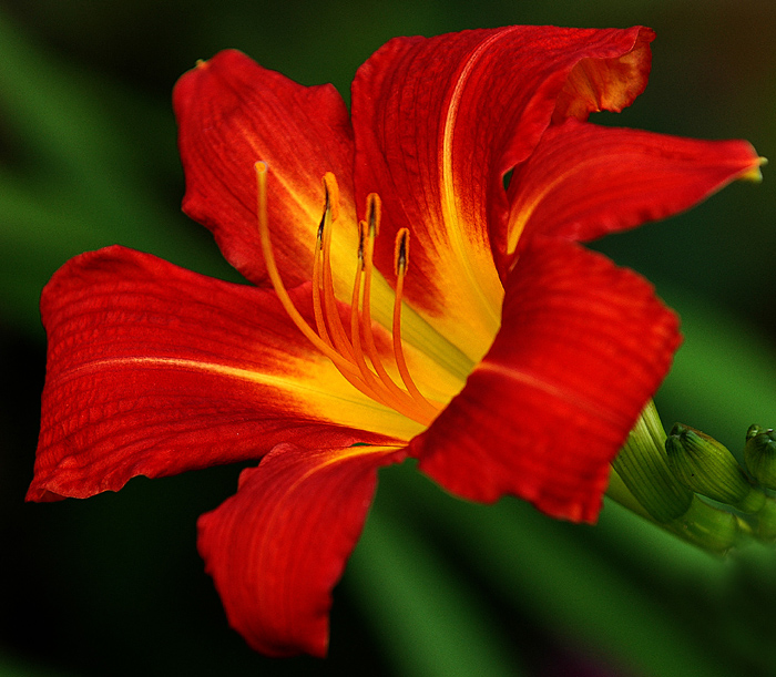 1568163-df21ef686faa96de_1_