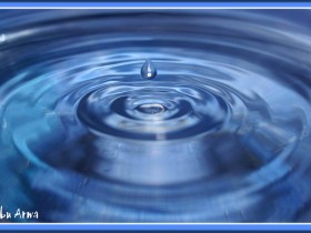 صور من ابداع اعضاء عمان فوتو