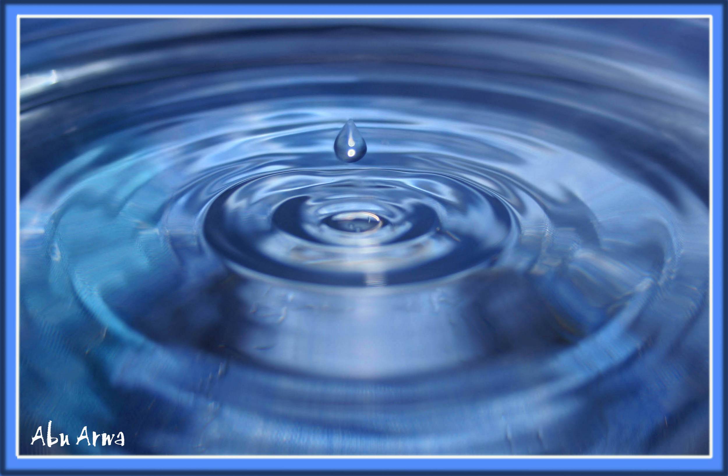 صور من ابداع اعضاء عمان فوتو