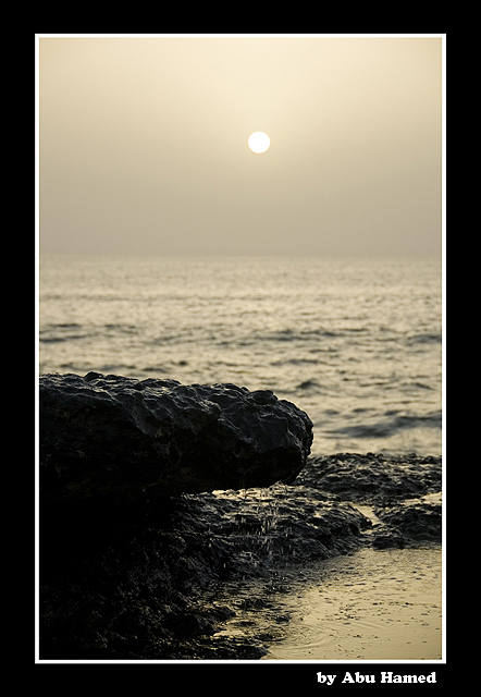 صور من ابداع اعضاء عمان فوتو