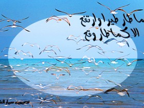 صور من ابداع اعضاء عمان فوتو