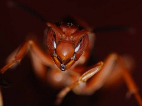 صور منوعة من الإنترنت