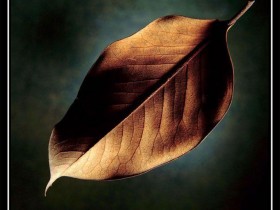 nice_pic_design_photo_93_1_