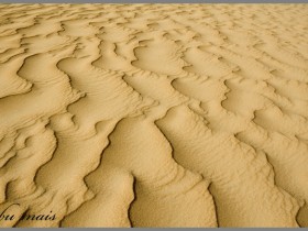 صور من ابداع اعضاء عمان فوتو