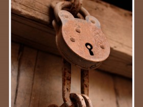 صور من ابداع اعضاء عمان فوتو