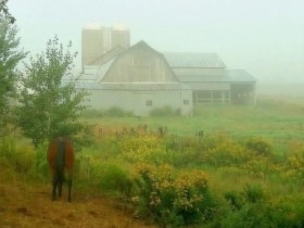 صور منوعة من الإنترنت