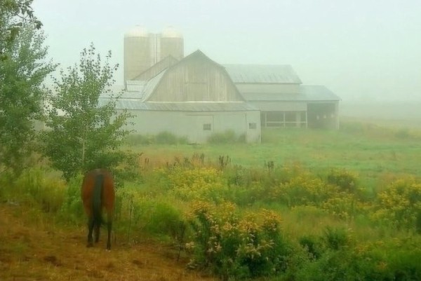 صور منوعة من الإنترنت