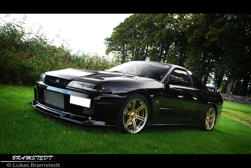 skyline_r32_gtr_do_luck1