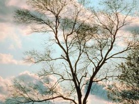 w6w200604290131147e2f21ec_1_