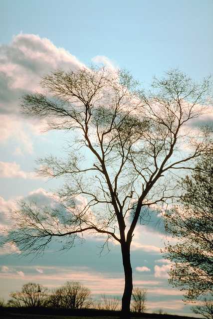 w6w200604290131147e2f21ec_1_