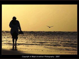 صور من ابداع اعضاء عمان فوتو