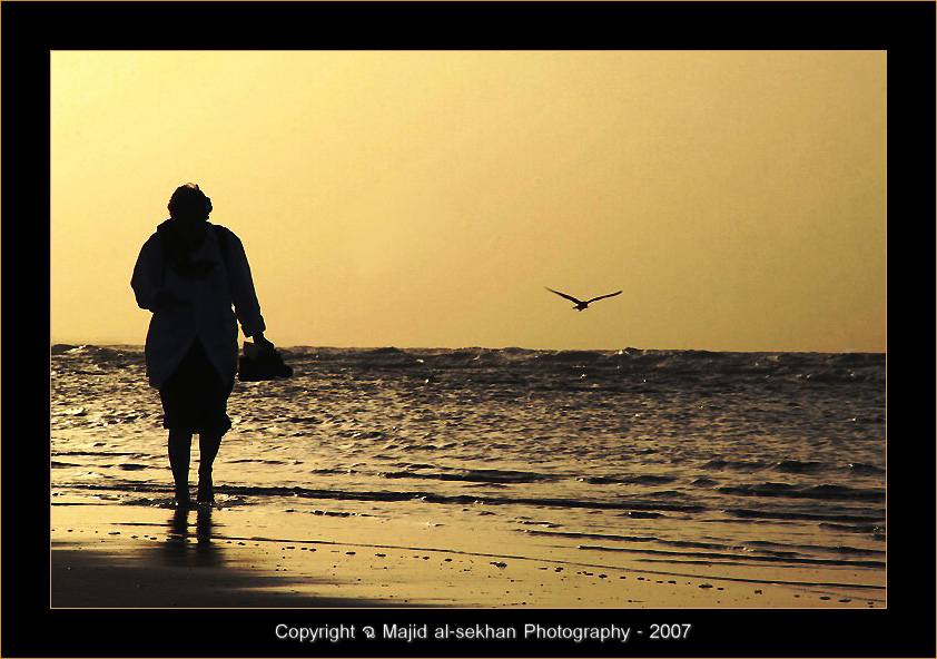 صور من ابداع اعضاء عمان فوتو