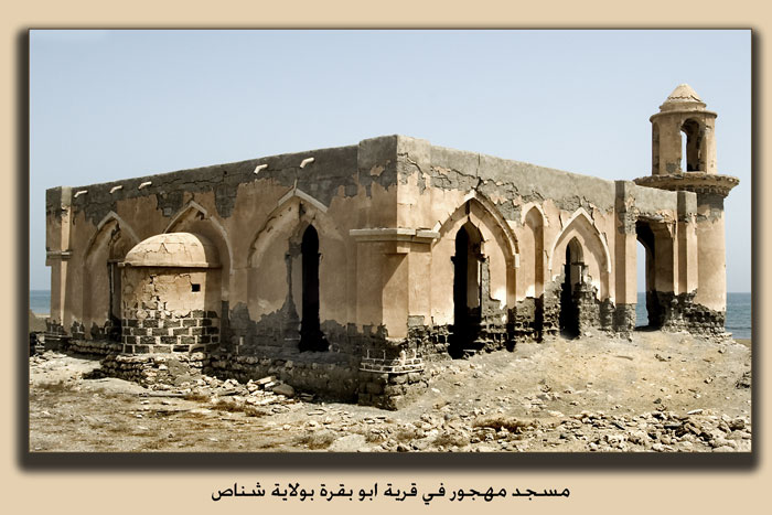 صور من ابداع اعضاء عمان فوتو
