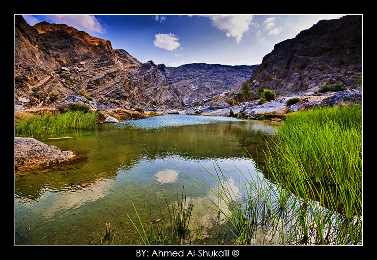 صور من ابداع اعضاء عمان فوتو