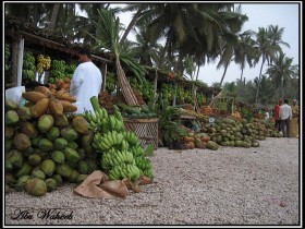 صور من ابداع اعضاء عمان فوتو