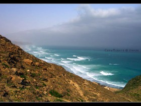 صور من ابداع اعضاء عمان فوتو