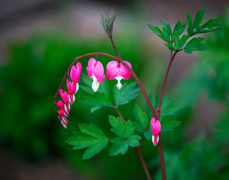 صور منوعة من الإنترنت
