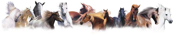 irkc5jrb6nf7kq6qsxtd