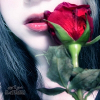 1204643886_1203853206_vYE543241_1_