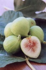 HeartFigs_1_