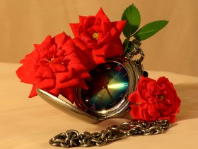 1566154-650d9fb42cb45767_1_