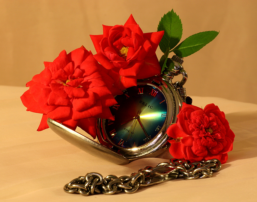 1566154-650d9fb42cb45767_1_