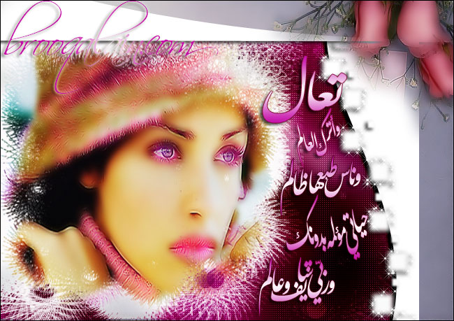 t3al-w3trk