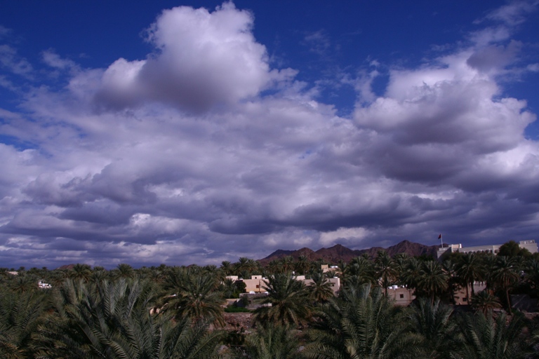 صور من ابداع اعضاء عمان فوتو