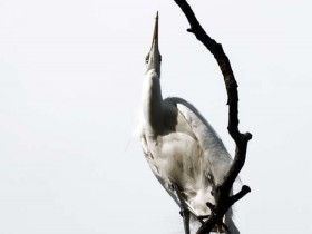 صور منوعة من الإنترنت