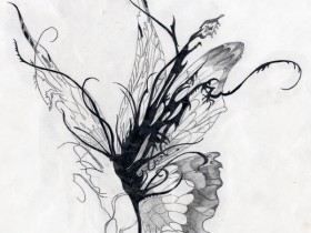 butterfly_by_nickinicki