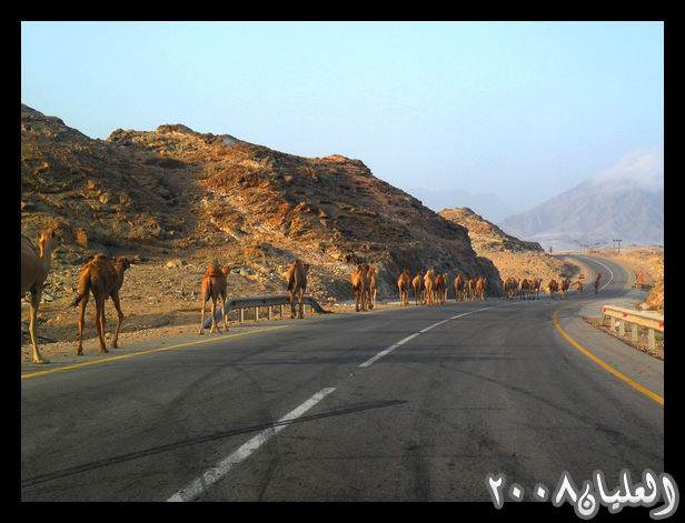 محافظة ظفار