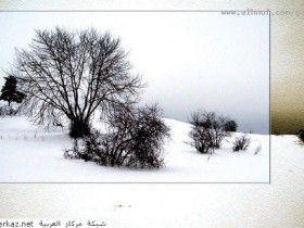 nice_pic_design_photo_110_1_