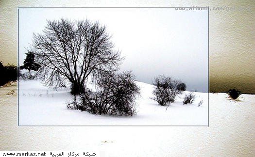 nice_pic_design_photo_110_1_