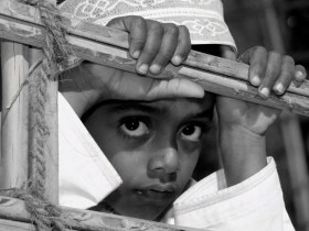 صور من ابداع اعضاء عمان فوتو