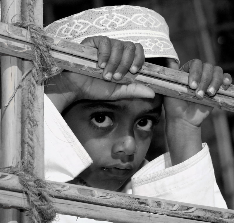 صور من ابداع اعضاء عمان فوتو