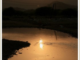صور من ابداع اعضاء عمان فوتو