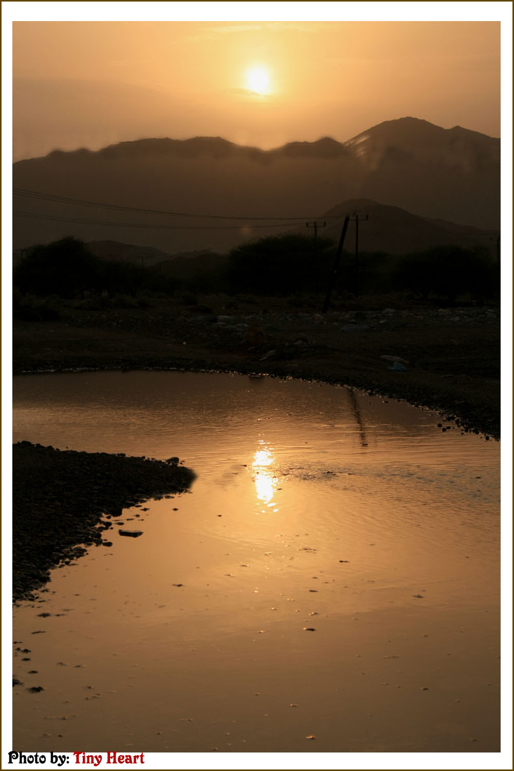 صور من ابداع اعضاء عمان فوتو