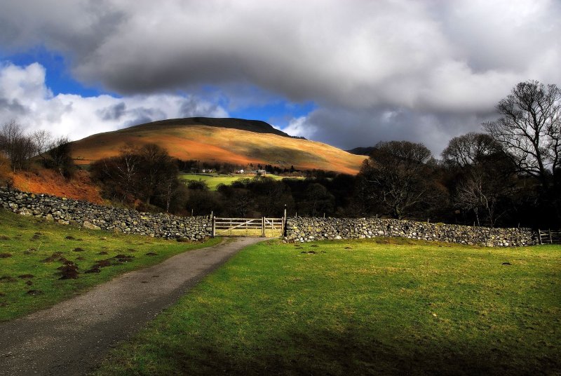 1209379195_21_04_2008_08476360012087_1_