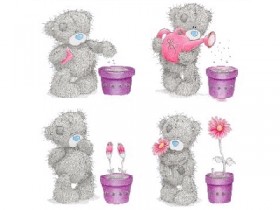 bruin-bear-flowers_1_